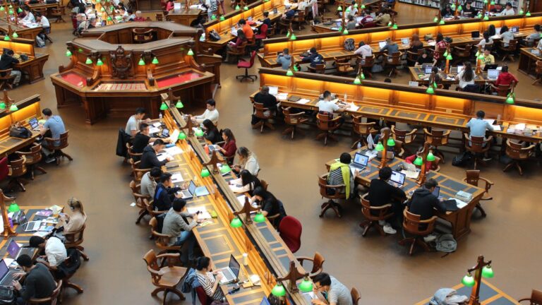 Licence professionnelle à Caen : les spécialités les plus demandées en alternance